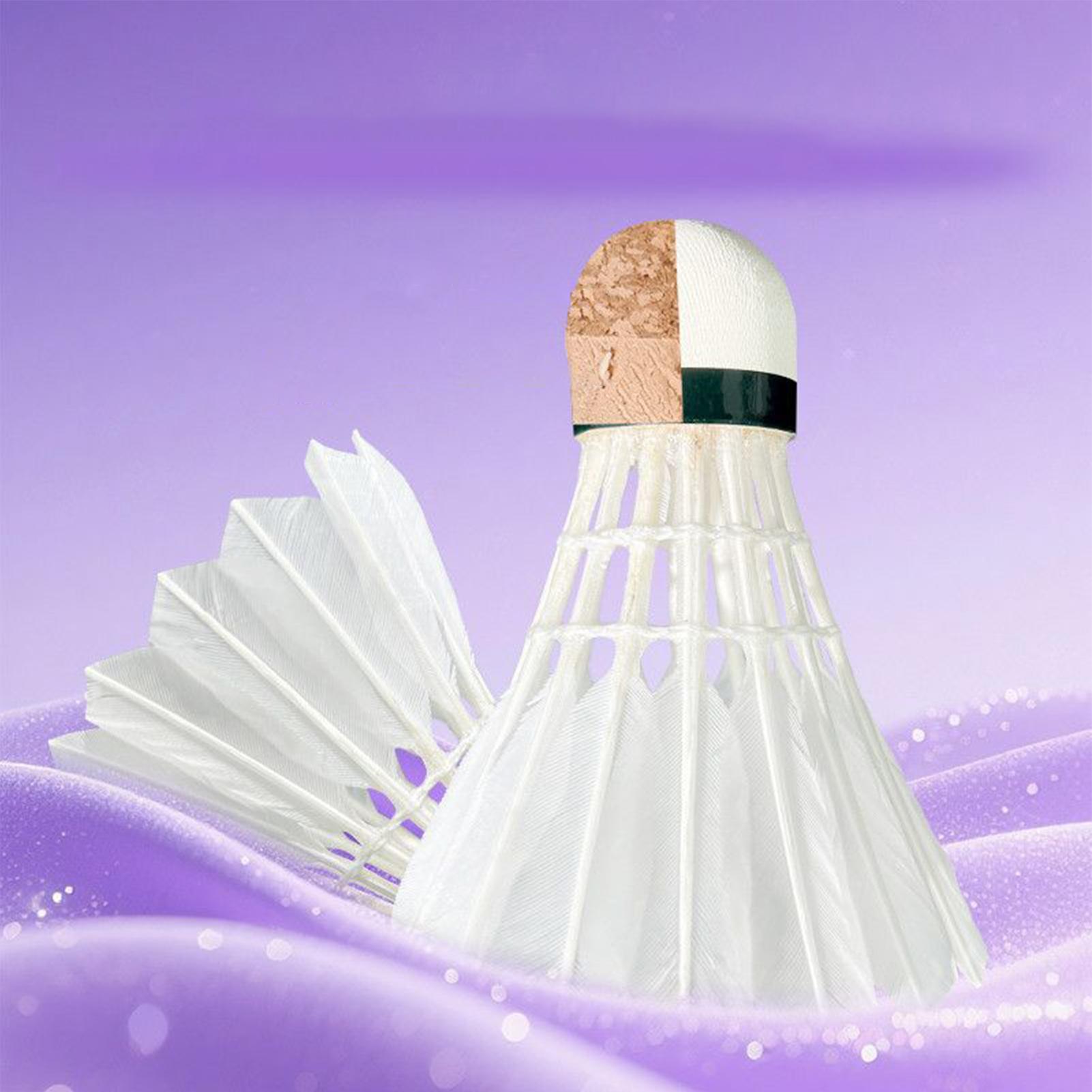 Badminton Shuttlecocks Outdoor - Outdoor Sportsman Group recension och pris